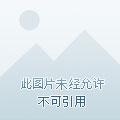 一把菜刀走天下完结版