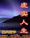 虚实人生安卓
